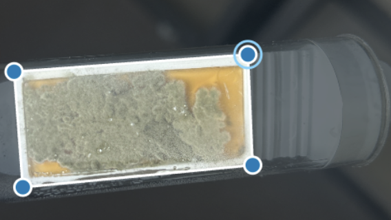 Photo of a test slide with crop corners placed just outside the test surface, including its white edge